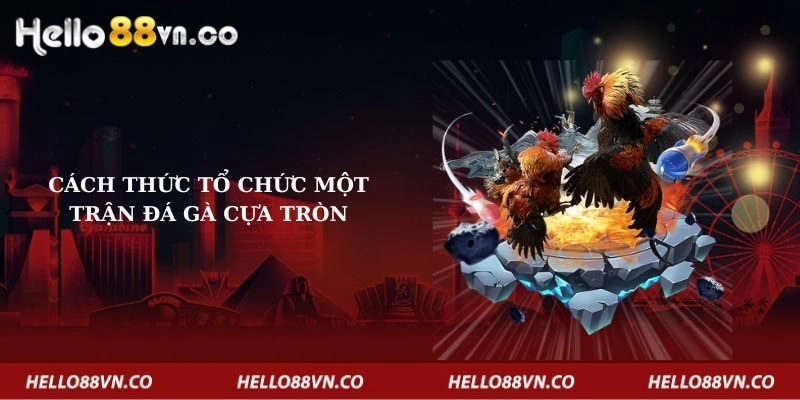 Các cách thức tổ chức một trận đá gà cựa tròn