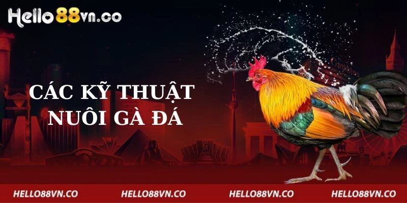 cac-ky-thuat-nuoi-ga-da