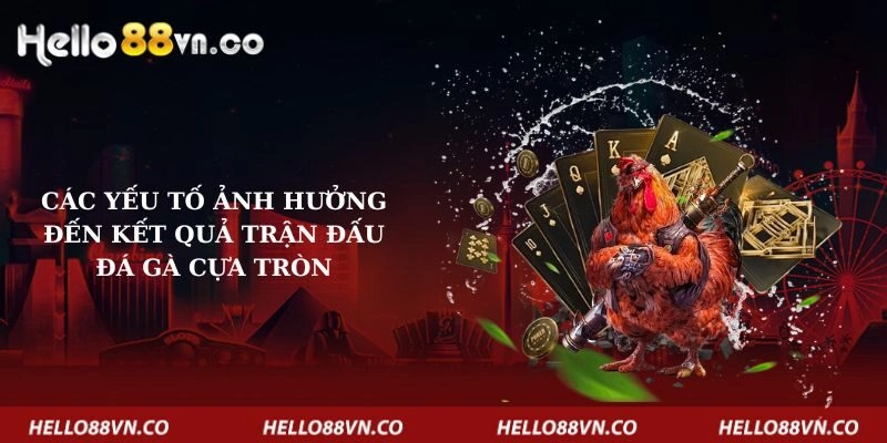 Các yếu tố ảnh hưởng đến kết quả trận đấu đá gà cựa tròn