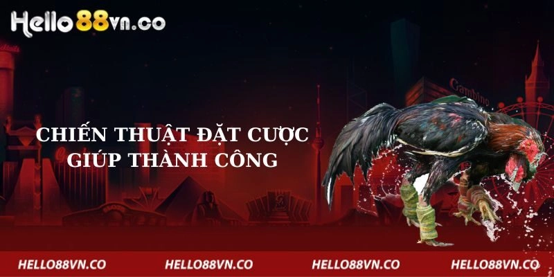 chien-thuat-dat-cuoc-giup-thanh-cong