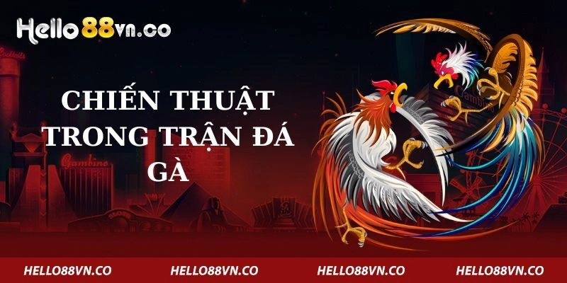 chien-thuat-trong-tran-da-ga