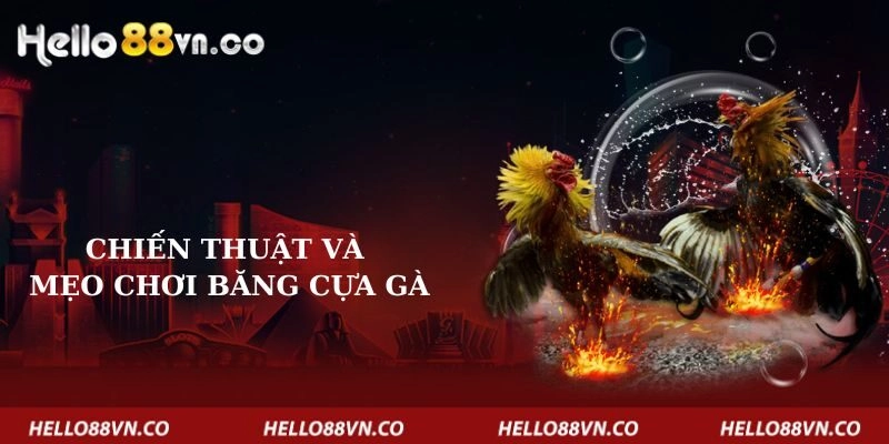 chien-thuat-va-meo-choi-bang-cua-ga