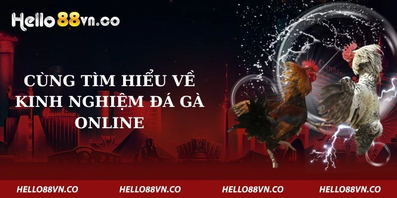 cung-tim-hieu-ve-kinh-nghiem-da-ga-online