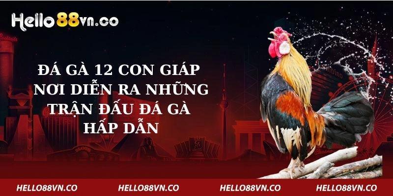 Đá Gà 12 Con Giáp – Nơi Diễn Ra Những Trận Đấu Đá Gà Hấp Dẫn