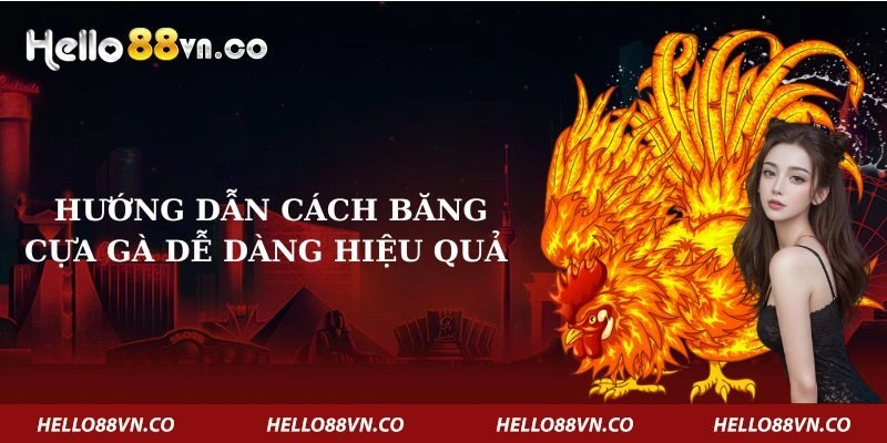 Hướng Dẫn Cách Băng Cựa Gà Dễ Dàng Hiệu Quả Trên Hello88