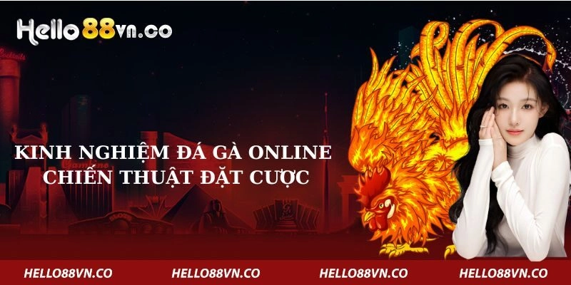 Kinh nghiệm Đá Gà Online – Chiến Thuật Đặt Cược