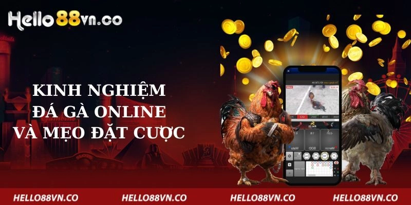 kinh-nghiem-da-ga-online-va-meo-dat-cuoc