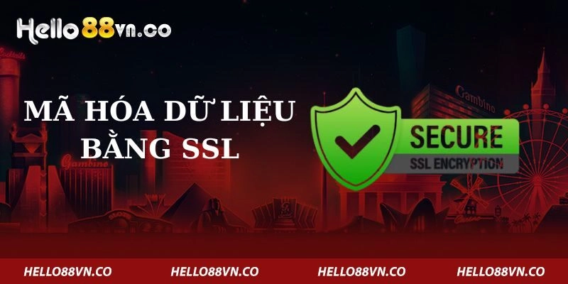 ma-hoa-du-lieu-bang-ssl