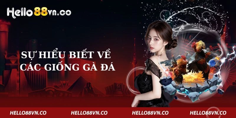 su-hieu-biet-ve-cac-giong-ga-da