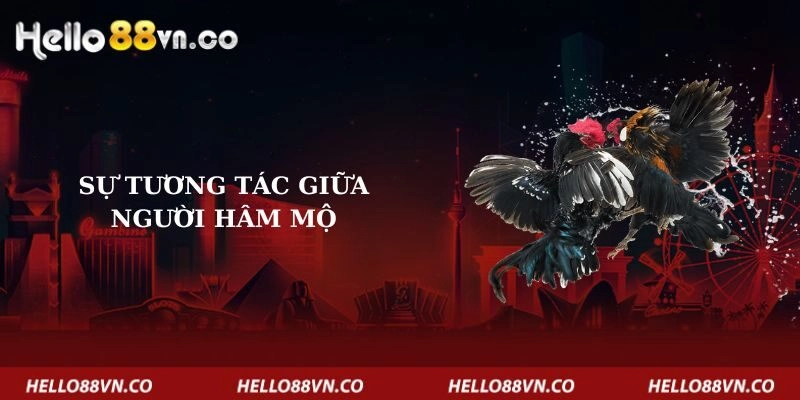 su-tuong-tac-giua-nguoi-ham-mo