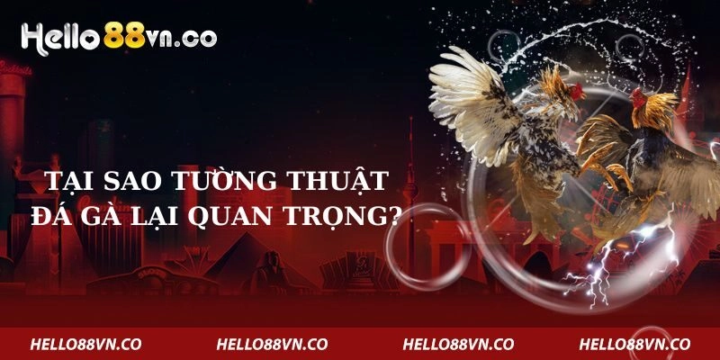 tai-sao-tuong-thuat-da-ga-lai-quan-trong