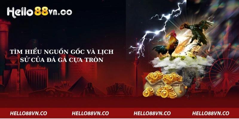 Tìm hiểu nguồn gốc và lịch sử của đá gà cựa tròn