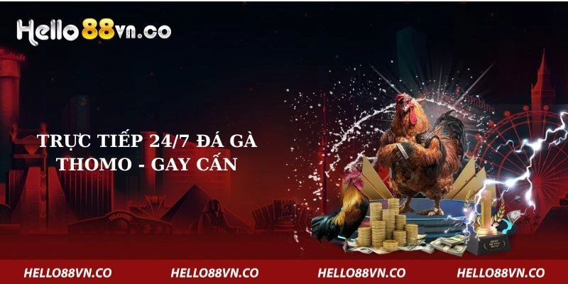 truc-tiep-24-7-da-ga-thomo-gay-can