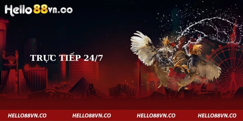 truc-tiep-24-7
