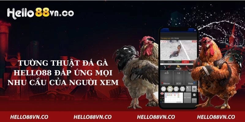 Tường Thuật Đá Gà Hello88 Đáp Ứng Mọi Nhu Cầu Của Người Xem